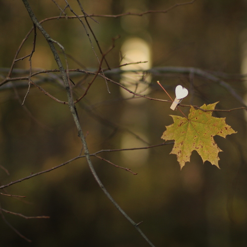 Photo #14125386