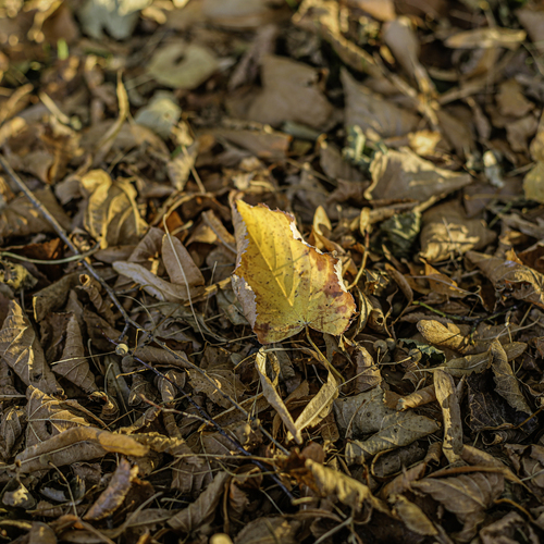 Photo #14125405