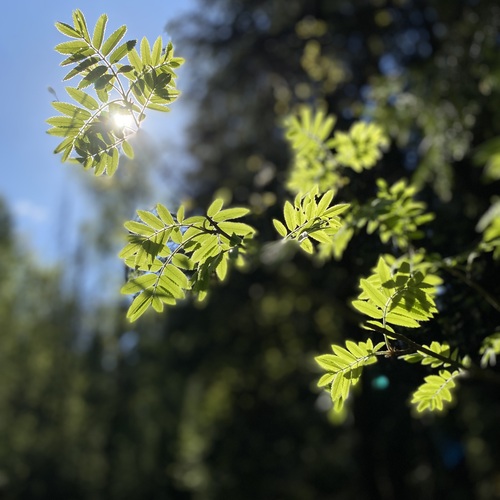 Photo #14125417