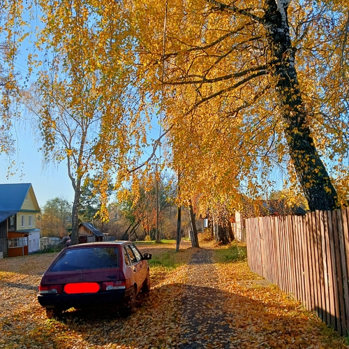 Photo #14125427