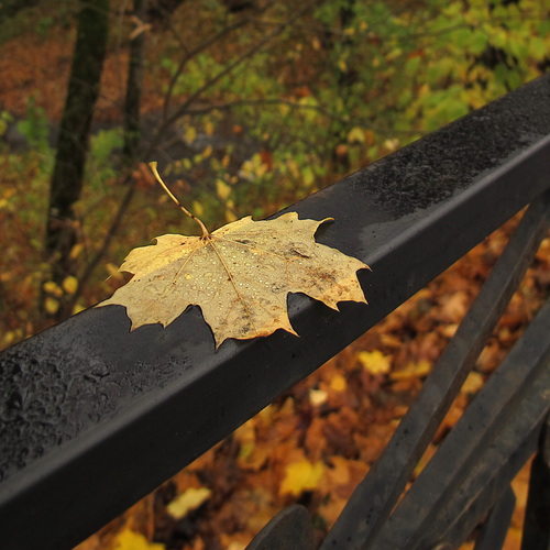 Photo #14125431