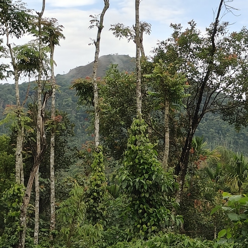 Photo #14125469