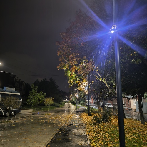 Photo #14125478
