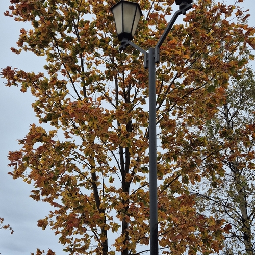 Photo #14125500