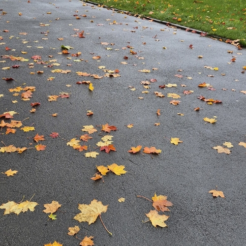 Photo #14125501