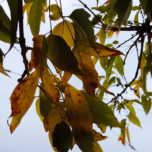 Photo #14125511