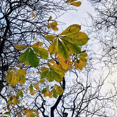 Photo #14125526