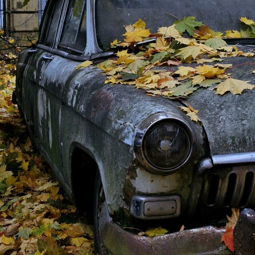 Photo #14125527