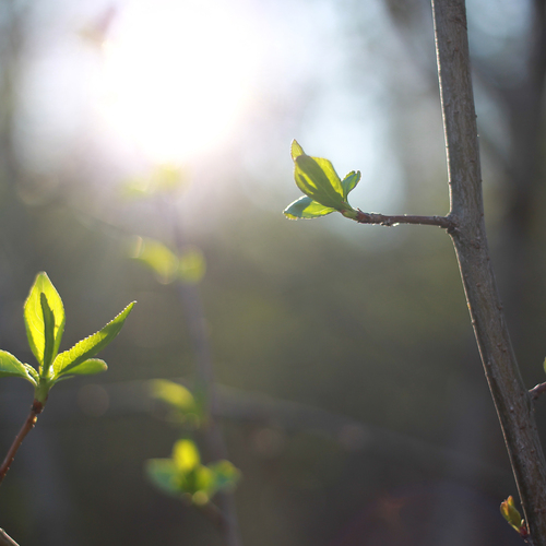 Photo #14125645
