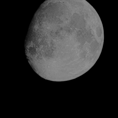 Photo #14125650