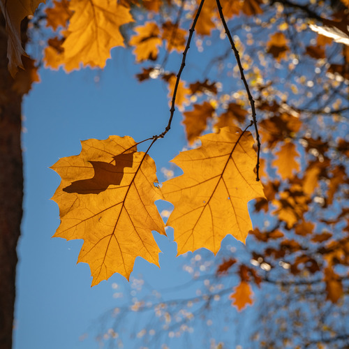 Photo #14125714