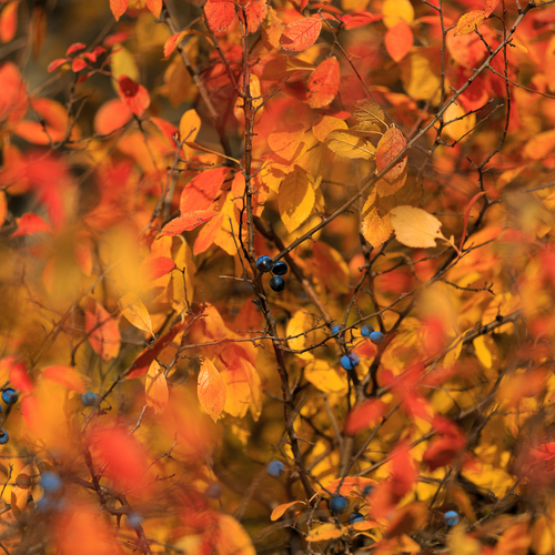 Photo #14126217
