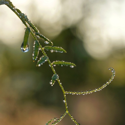 Photo #14126425