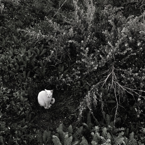 Photo #14126442