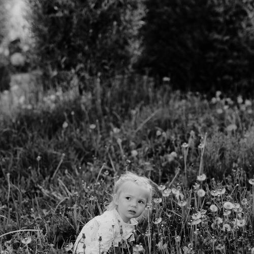 Photo #14126542