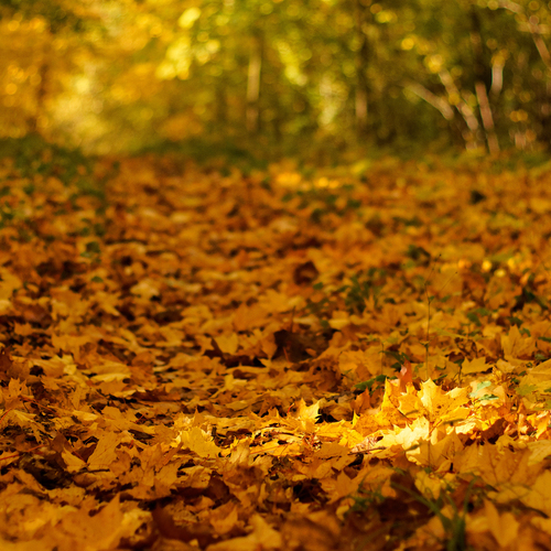 Photo #14126641