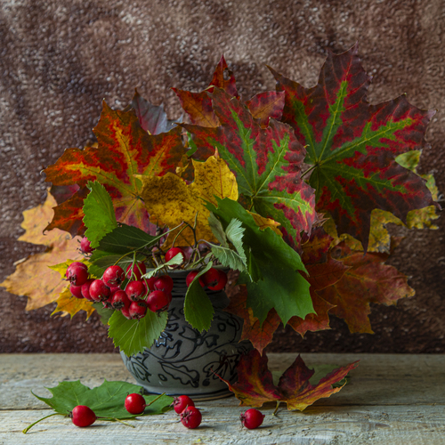 Photo #14126642