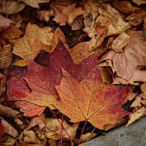 Photo #14126645