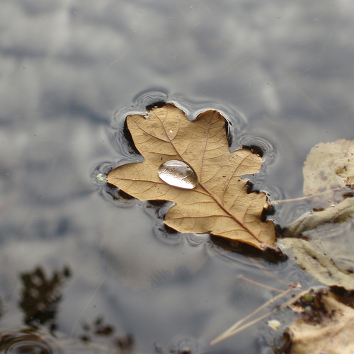 Photo #14126648