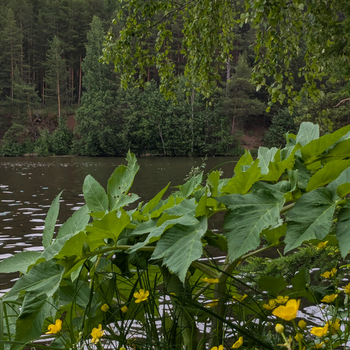 Photo #14126664