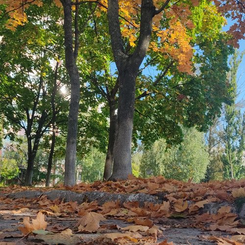 Фотография #14126770
