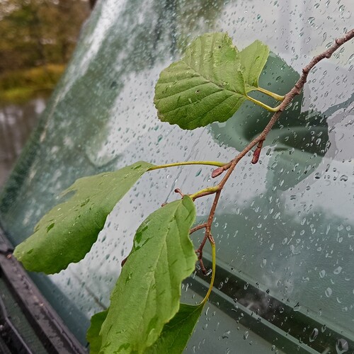 Photo #14126786