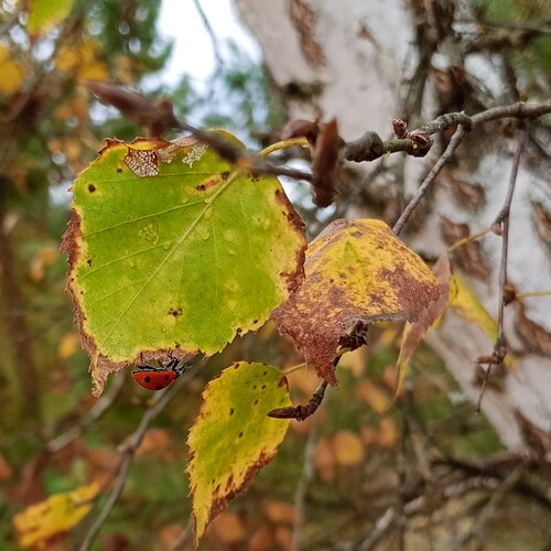 Photo #14126823