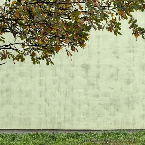 Photo #14126888