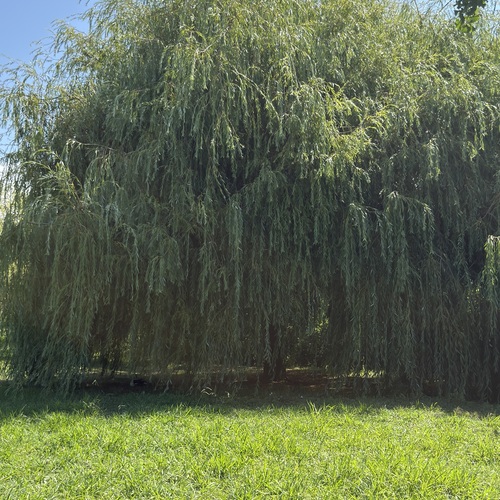 Photo #14126952