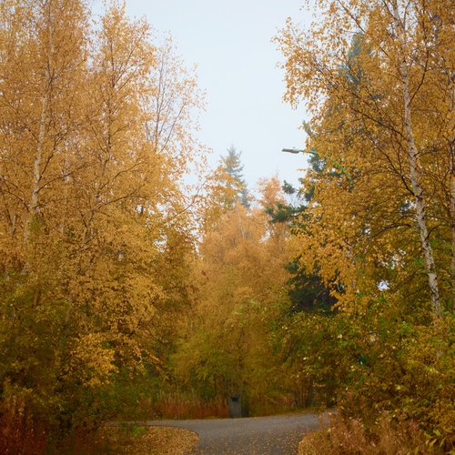 Photo #14126983