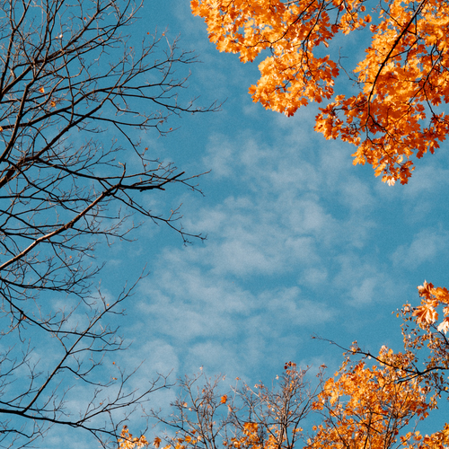 Photo #14127039