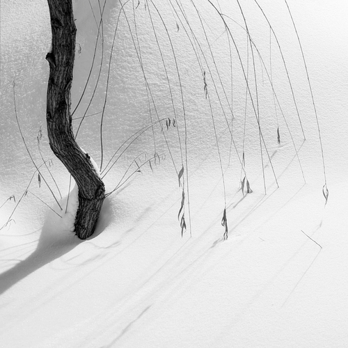Photo #14127049