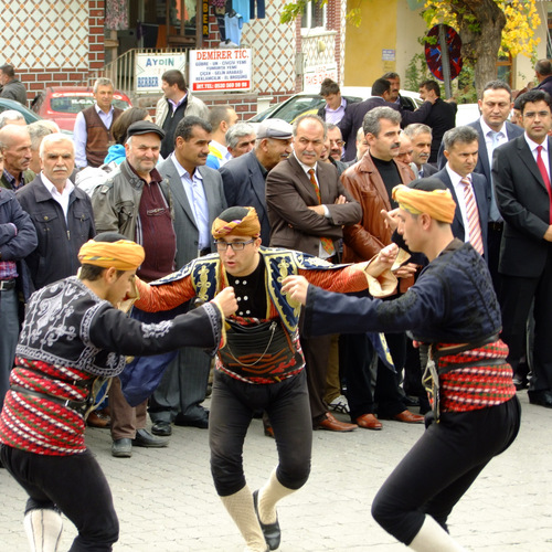 Photo #14127057
