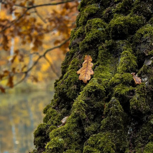 Photo #14127158