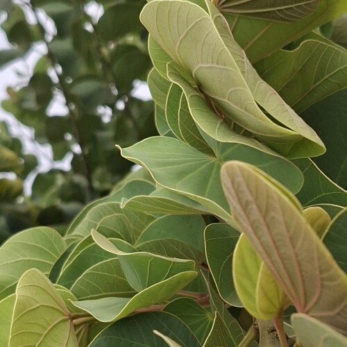 Photo #14127160