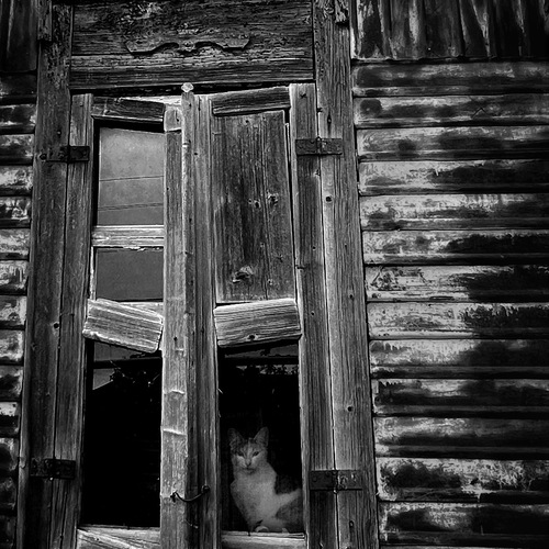 Photo #14127188
