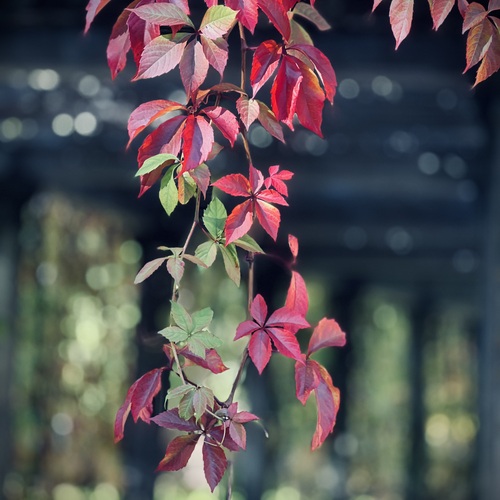 Photo #14127207