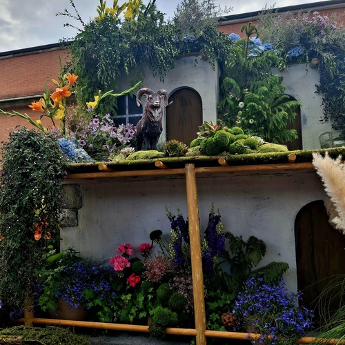 Photo #14127241