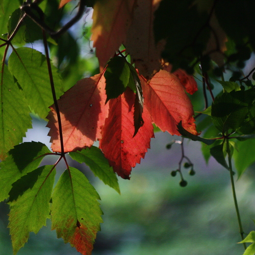 Photo #14127253
