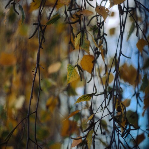 Photo #14127254