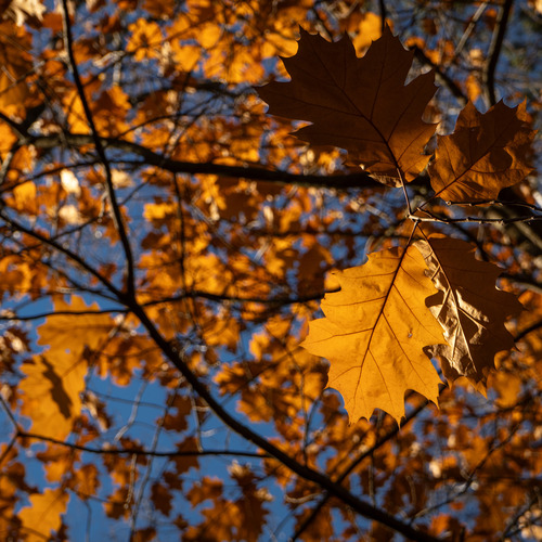 Photo #14127338