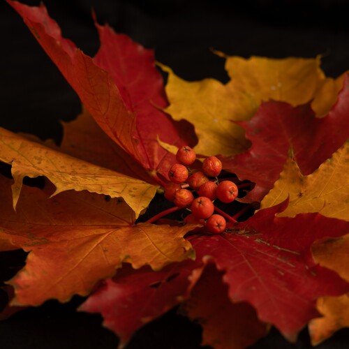 Photo #14127456