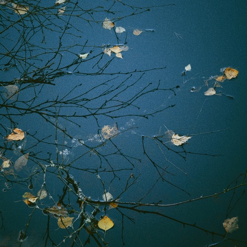 Photo #14127500