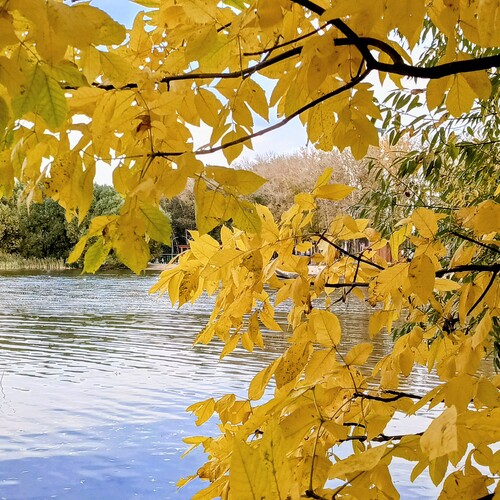 Photo #14127563