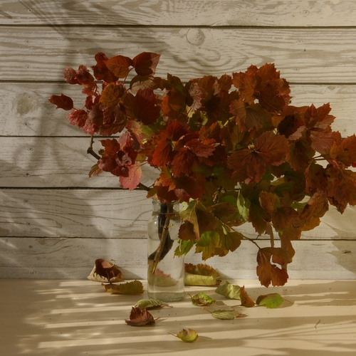 Photo #14127599