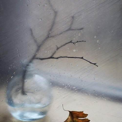 Photo #14127640