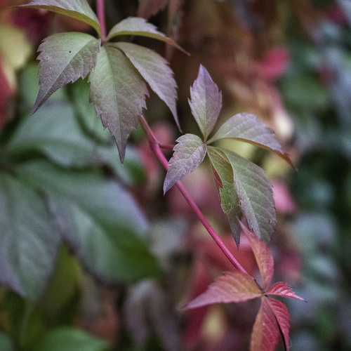 Photo #14127642