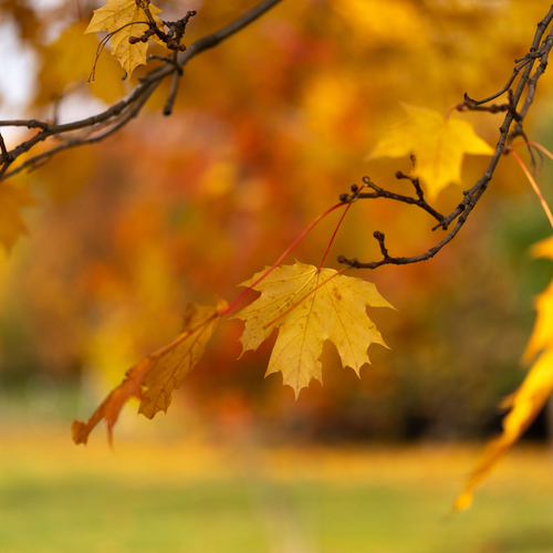 Photo #14127643