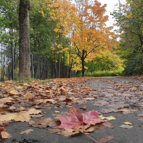 Photo #14127707
