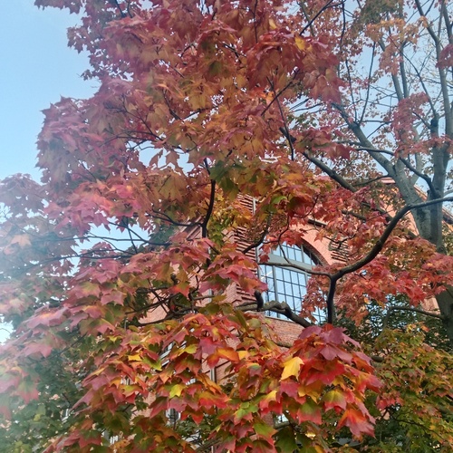 Photo #14127728